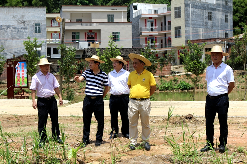 8月28日下午,罗定市人大常委会副主任吴沃明,罗定市政协副主席梁廷桂