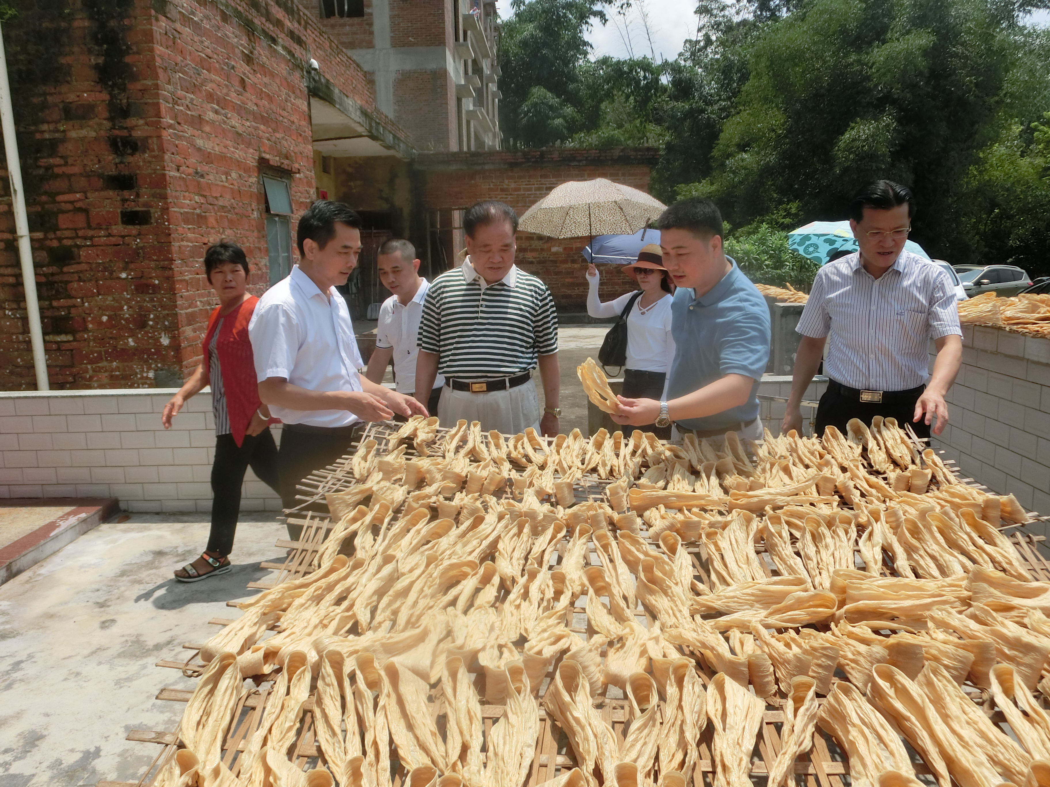 彭书宝个人简历图片